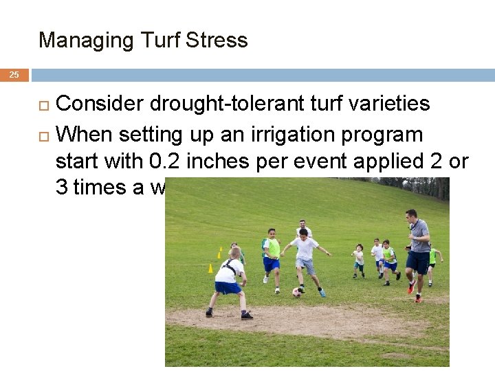 Managing Turf Stress 25 Consider drought-tolerant turf varieties When setting up an irrigation program