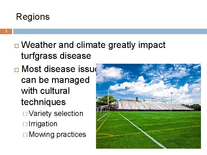 Regions 3 Weather and climate greatly impact turfgrass disease Most disease issues can be