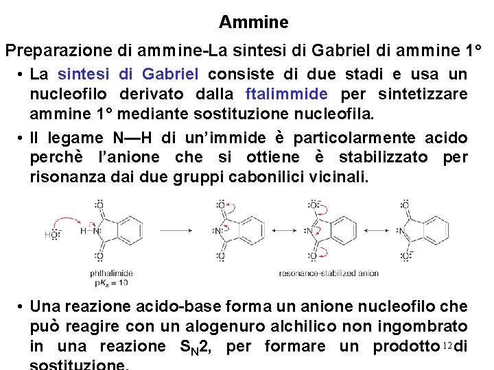 Ammine Preparazione di ammine-La sintesi di Gabriel di ammine 1° • La sintesi di