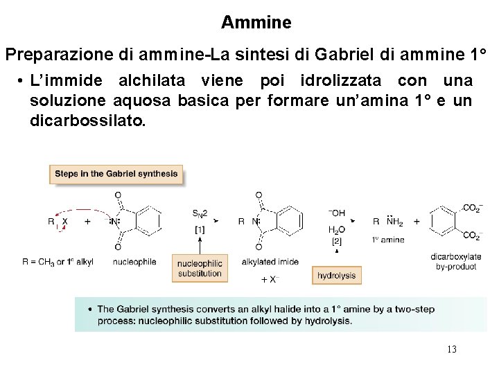 Ammine Preparazione di ammine-La sintesi di Gabriel di ammine 1° • L’immide alchilata viene