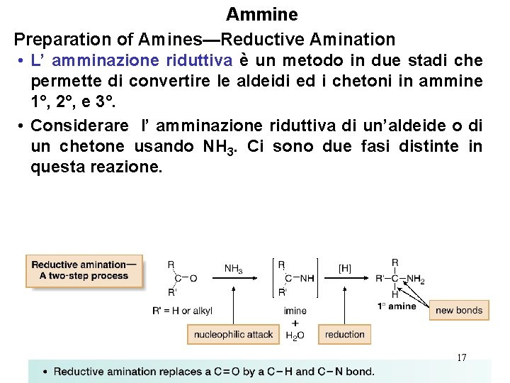 Ammine Preparation of Amines—Reductive Amination • L’ amminazione riduttiva è un metodo in due