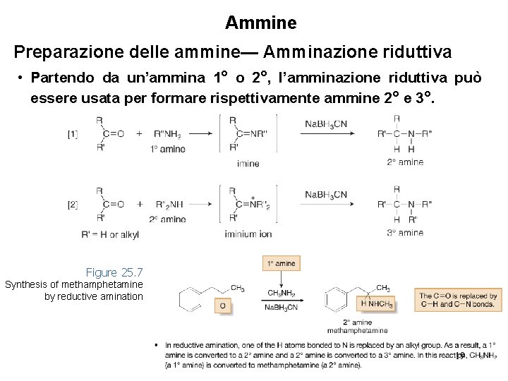 Ammine Preparazione delle ammine— Amminazione riduttiva • Partendo da un’ammina 1° o 2°, l’amminazione