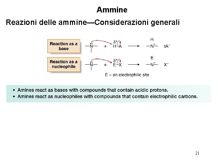 Ammine Reazioni delle ammine—Considerazioni generali 21 
