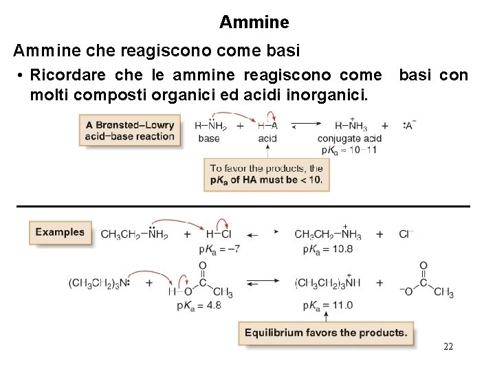 Ammine che reagiscono come basi • Ricordare che le ammine reagiscono come basi con