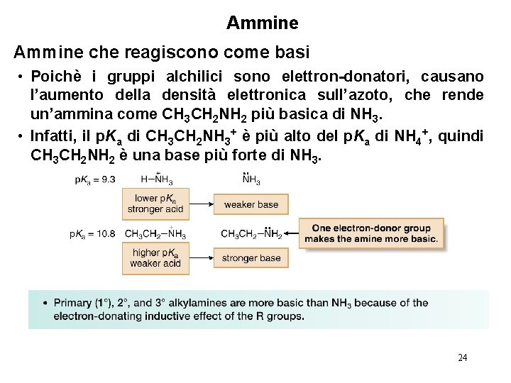 Ammine che reagiscono come basi • Poichè i gruppi alchilici sono elettron-donatori, causano l’aumento