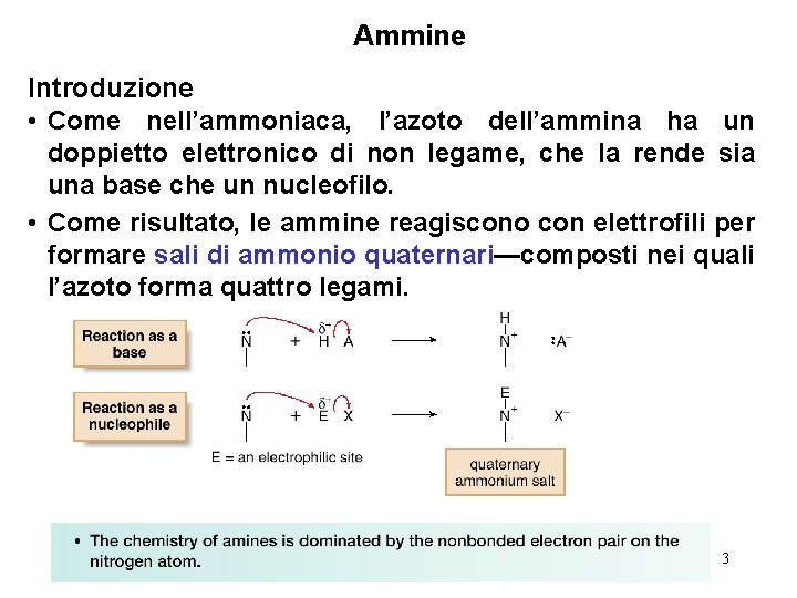 Ammine Introduzione • Come nell’ammoniaca, l’azoto dell’ammina ha un doppietto elettronico di non legame,