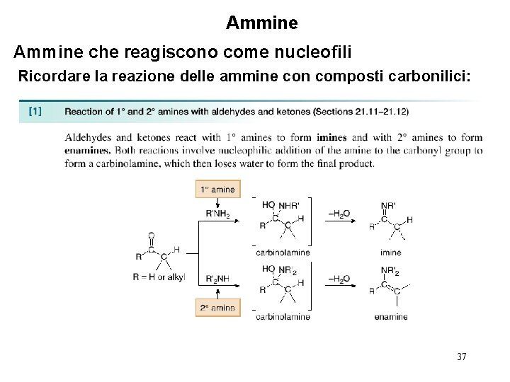 Ammine che reagiscono come nucleofili Ricordare la reazione delle ammine con composti carbonilici: 37