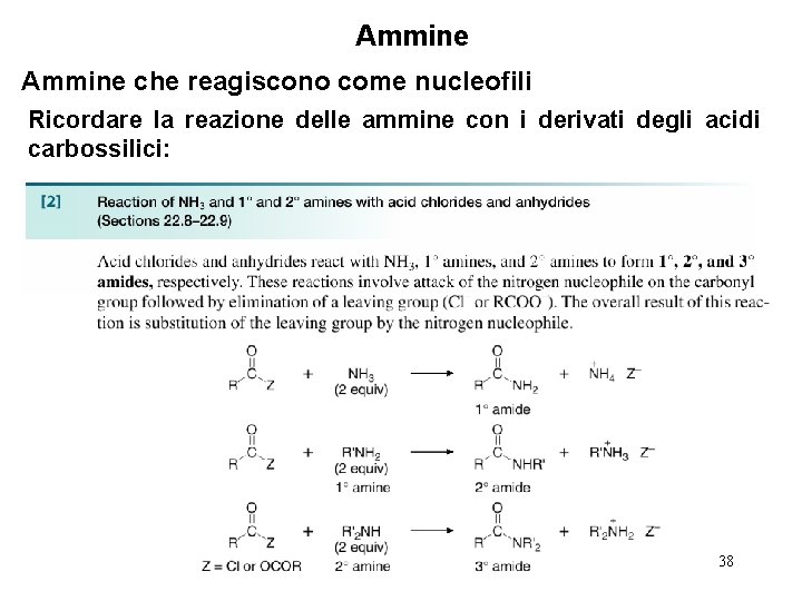 Ammine che reagiscono come nucleofili Ricordare la reazione delle ammine con i derivati degli
