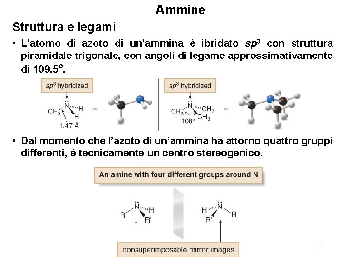 Ammine Struttura e legami • L’atomo di azoto di un’ammina è ibridato sp 3