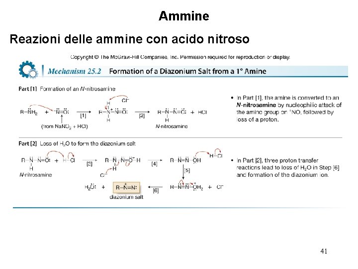Ammine Reazioni delle ammine con acido nitroso 41 