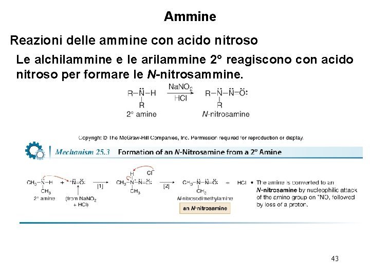 Ammine Reazioni delle ammine con acido nitroso Le alchilammine e le arilammine 2° reagiscono