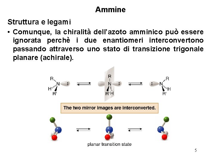 Ammine Struttura e legami • Comunque, la chiralità dell’azoto amminico può essere ignorata perchè