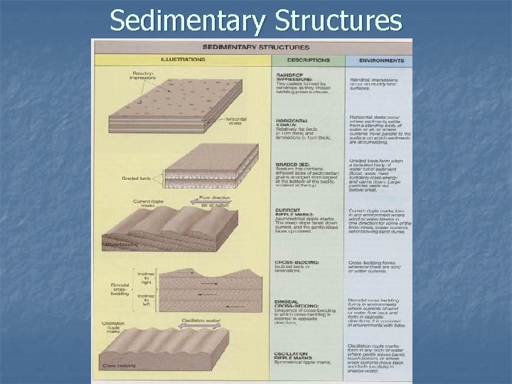 Sedimentary Structures 