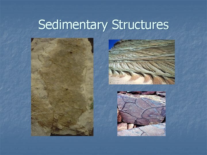 Sedimentary Structures 