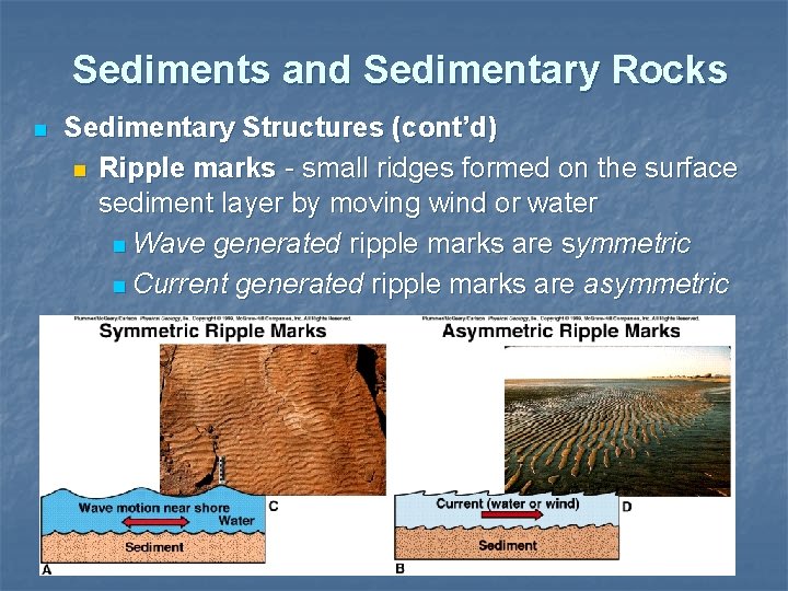 Sediments and Sedimentary Rocks n Sedimentary Structures (cont’d) n Ripple marks - small ridges