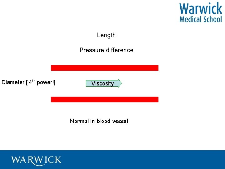 Length Pressure difference Diameter [ 4 th power!] Viscosity Normal in blood vessel 