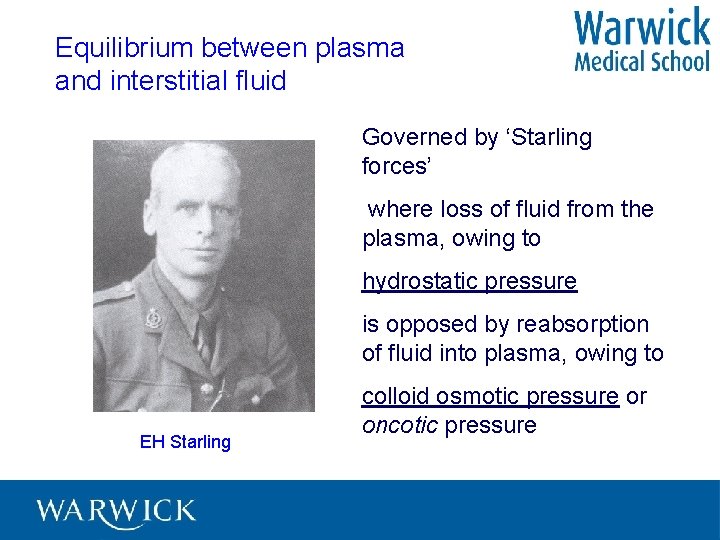 Equilibrium between plasma and interstitial fluid is established Governed by ‘Starling forces’ where loss