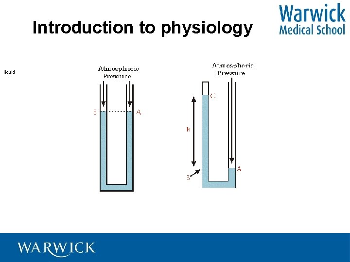 Introduction to physiology liquid 