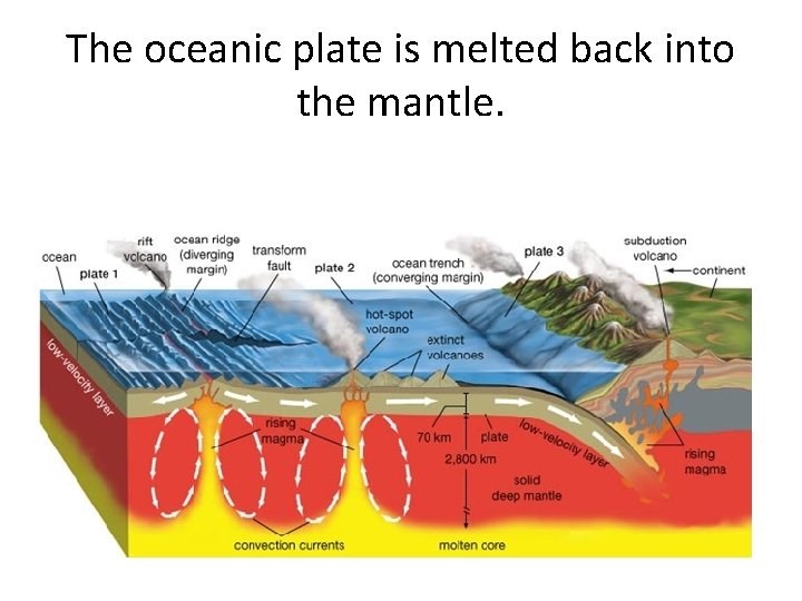 The oceanic plate is melted back into the mantle. 