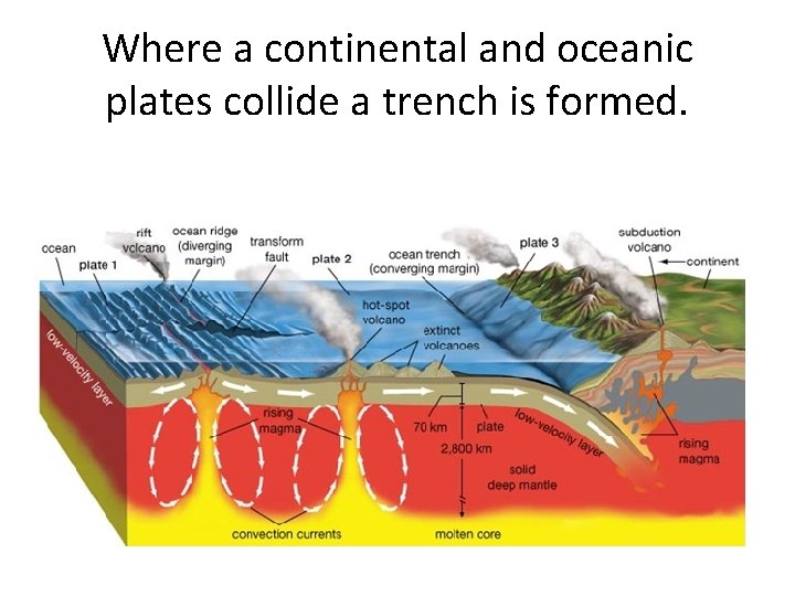 Where a continental and oceanic plates collide a trench is formed. 