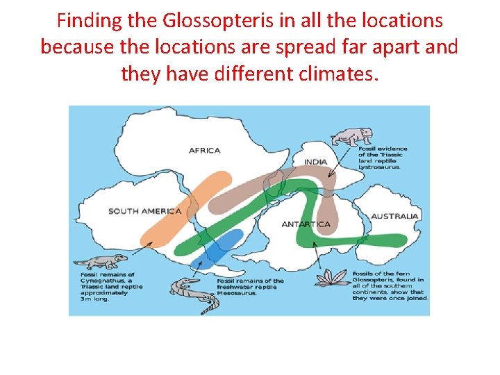 Finding the Glossopteris in all the locations because the locations are spread far apart