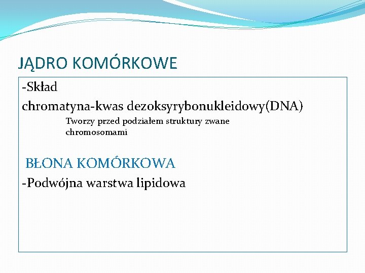 JĄDRO KOMÓRKOWE -Skład chromatyna-kwas dezoksyrybonukleidowy(DNA) Tworzy przed podziałem struktury zwane chromosomami BŁONA KOMÓRKOWA -Podwójna