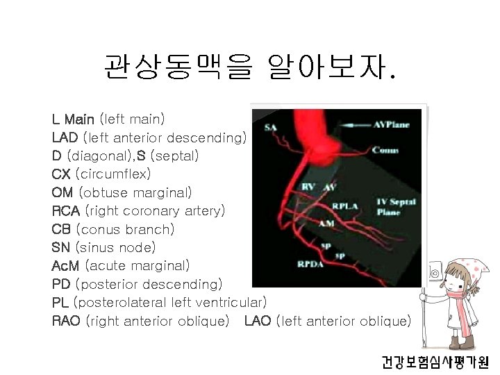 관상동맥을 알아보자. L Main (left main) LAD (left anterior descending) D (diagonal), S (septal)