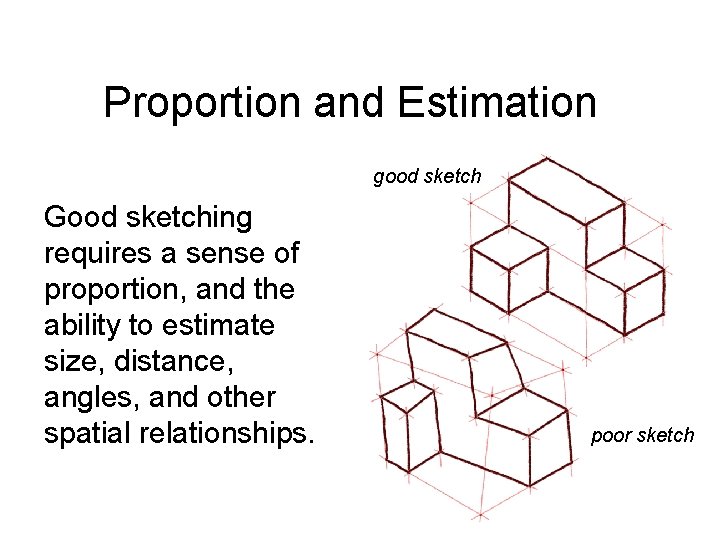 Proportion and Estimation good sketch Good sketching requires a sense of proportion, and the