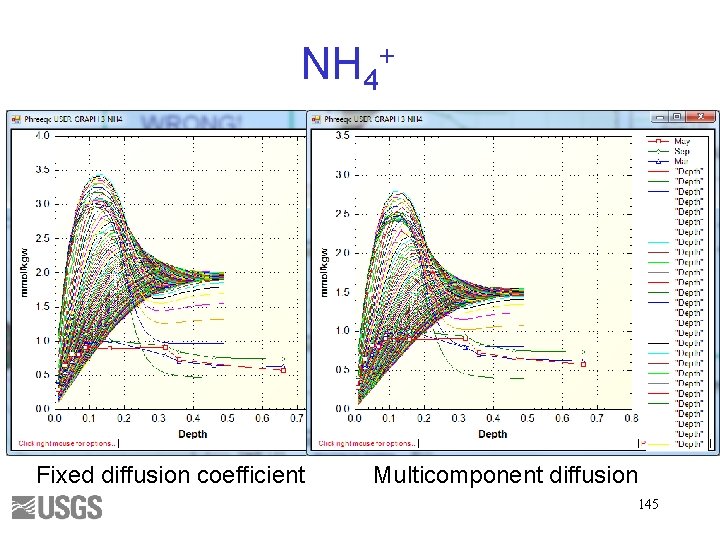 NH 4+ Fixed diffusion coefficient Multicomponent diffusion 145 