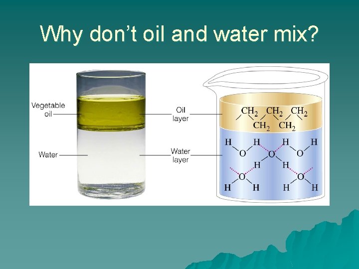 Why don’t oil and water mix? 