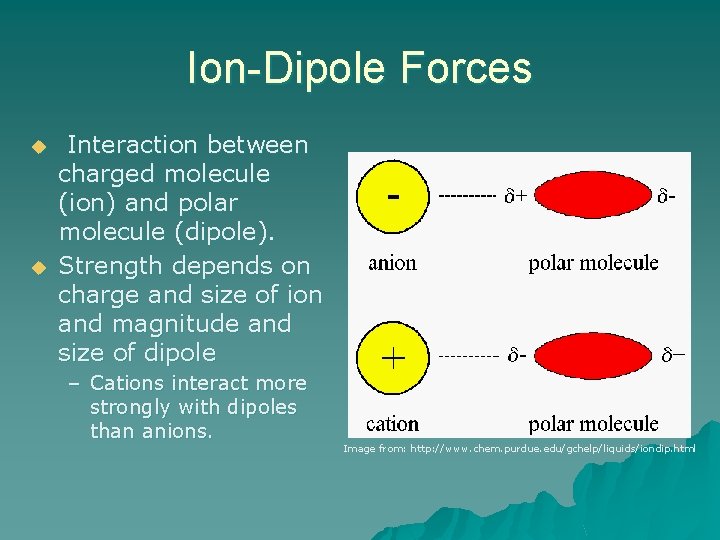 Ion-Dipole Forces u u Interaction between charged molecule (ion) and polar molecule (dipole). Strength