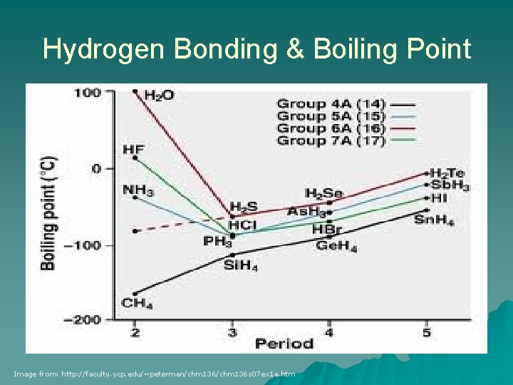Hydrogen Bonding & Boiling Point Image from: http: //faculty. ycp. edu/~peterman/chm 136 s 07