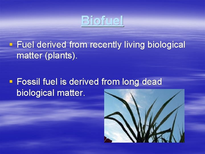 Biofuel § Fuel derived from recently living biological matter (plants). § Fossil fuel is Biofuel § Fuel derived from recently living biological matter (plants). § Fossil fuel is
