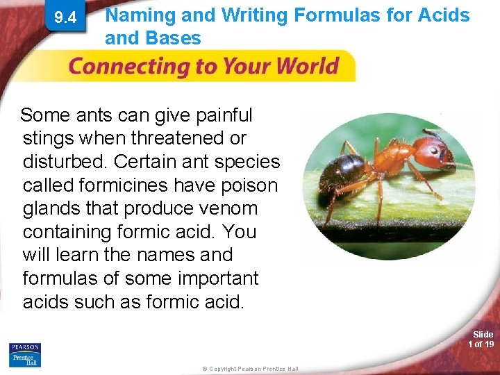 9. 4 Naming and Writing Formulas for Acids and Bases Some ants can give