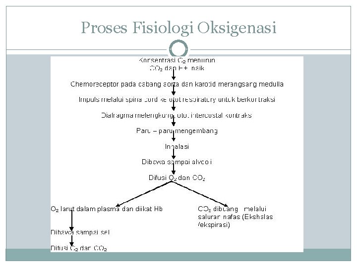Proses Fisiologi Oksigenasi 
