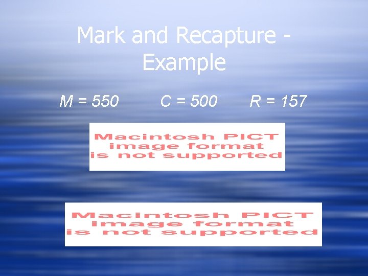 Mark and Recapture Example M = 550 C = 500 R = 157 