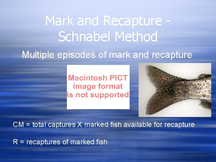 Mark and Recapture Schnabel Method Multiple episodes of mark and recapture CM = total