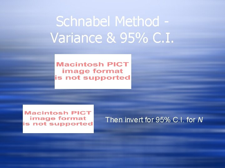 Schnabel Method Variance & 95% C. I. Then invert for 95% C. I. for