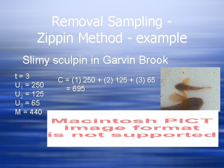 Removal Sampling Zippin Method - example Slimy sculpin in Garvin Brook t=3 U 1