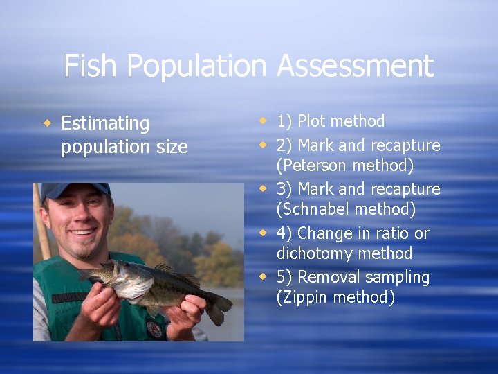 Fish Population Assessment w Estimating population size w 1) Plot method w 2) Mark