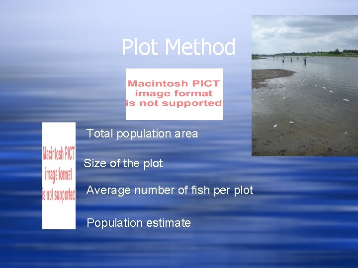 Plot Method Total population area Size of the plot Average number of fish per