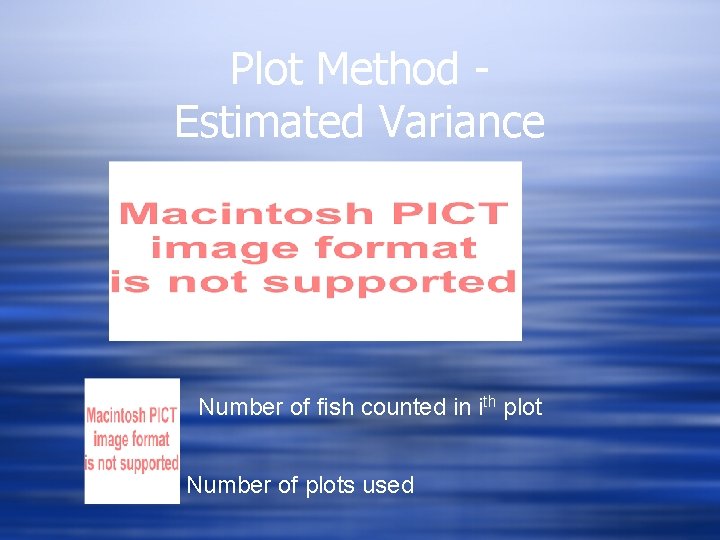 Plot Method Estimated Variance Number of fish counted in ith plot Number of plots