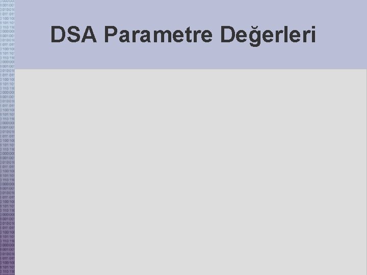 DSA Parametre Değerleri 