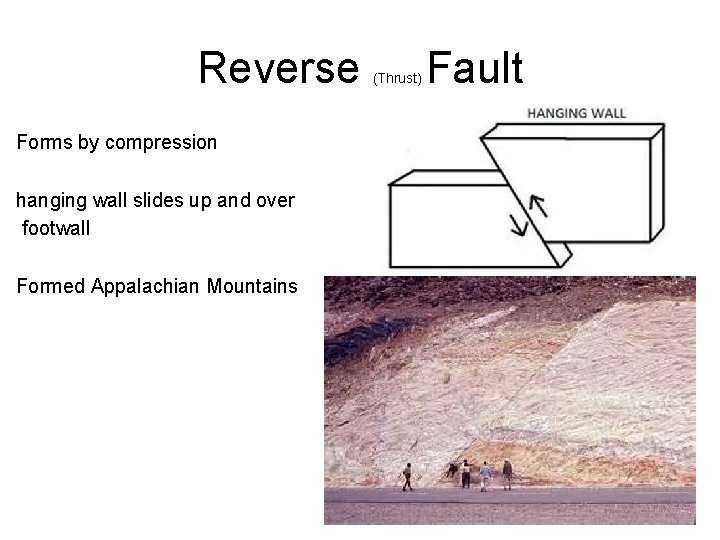 Reverse Forms by compression hanging wall slides up and over footwall Formed Appalachian Mountains