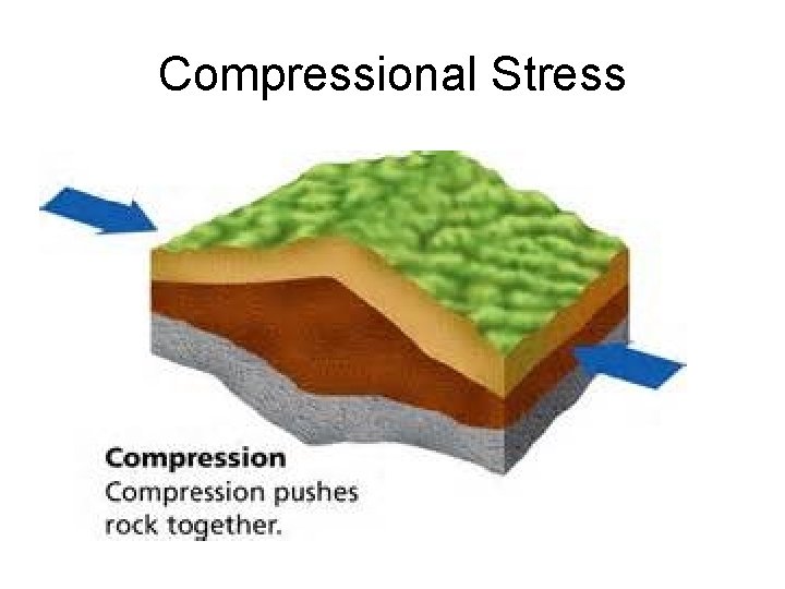 Compressional Stress 