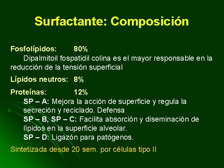 Surfactante: Composición Fosfolípidos: 80% Dipalmitoil fospatidil colina es el mayor responsable en la reducción