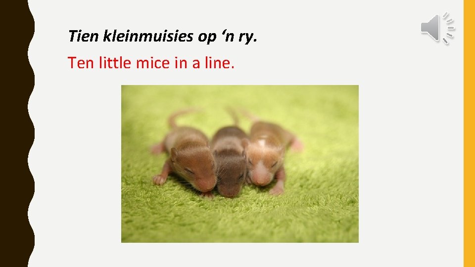 Tien kleinmuisies op ‘n ry. Ten little mice in a line. 