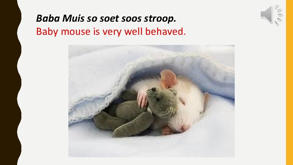 Baba Muis so soet soos stroop. Baby mouse is very well behaved. 
