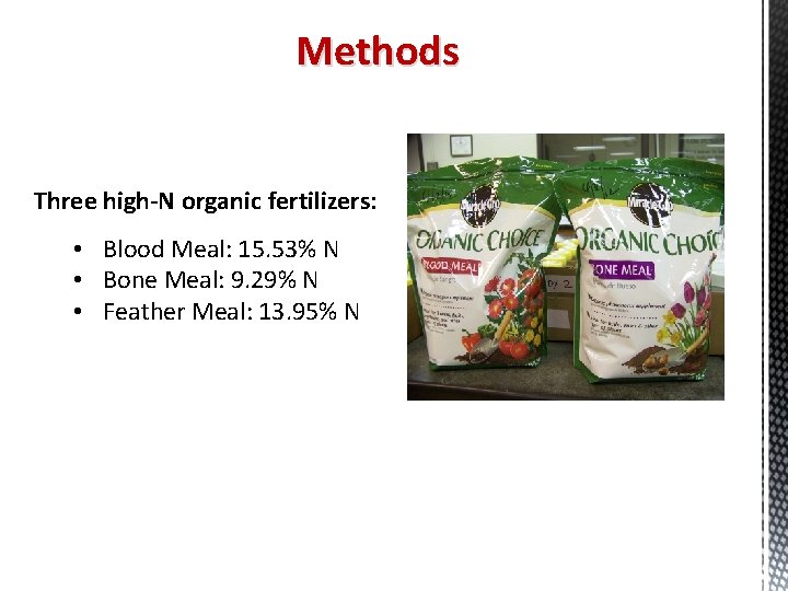 Methods Three high-N organic fertilizers: • Blood Meal: 15. 53% N • Bone Meal: