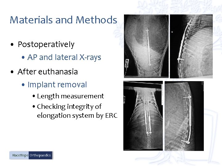 Materials and Methods • Postoperatively • AP and lateral X-rays • After euthanasia •
